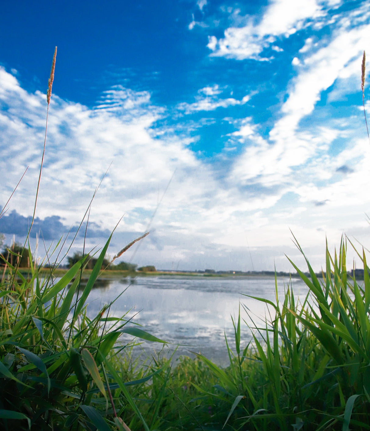 Blue Sky Stock Photos