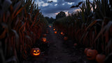 Cornfield Maze Bundle Ai Generated Image