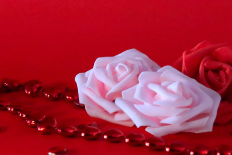 Soft roses and heart gems bundle Stock Photos