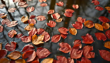 Autumn Leaves Floating In Water Ai Generated Image