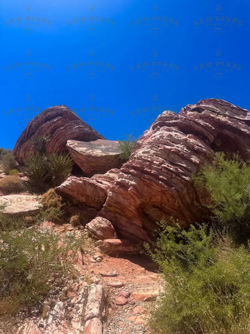 Red Rock Canyon Stock Photos