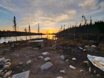 Burned Forest Near A Lake At Sunset Stock Photos