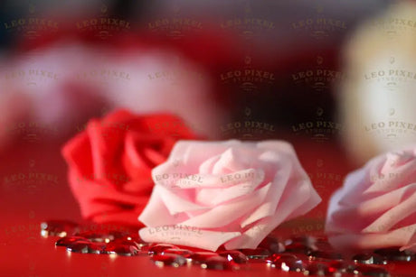 Close-up of soft pink and red roses bundle Stock Photos