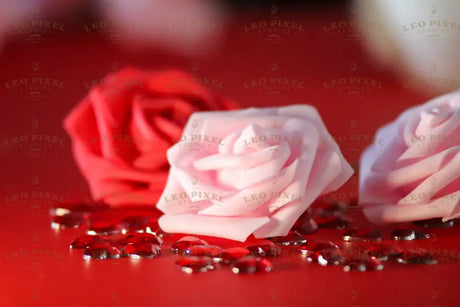 A close-up of a delicate pink rose with smooth, curled petals resting on a red surface. Behind and next to it, a slightly blurred red rose and pink rose adds depth. Scattered around are small, faceted red heart-shaped gems reflecting light. The background has a warm, softly blurred effect, enhancing the romantic tones of the composition. The rich reds and soft pink hues contrast beautifully in this detailed shot. Photography.