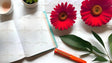 Flat lay image of an open blank notebook with a blue edge on a white surface. Beside it, two vibrant red daisy-like flowers with yellow centers are placed near green leaves. An orange pen lies below the notebook. A white cup with pink residue is positioned in the top left corner next to a small potted plant with glossy green leaves. The composition is clean and bright, with soft shadows enhancing the arrangement. Ai generated. Photography style.