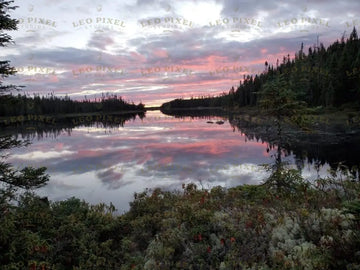 Pink Sunset And Cloudy Sky Surrounded By Forest Reflecting On A Lake Stock Photos