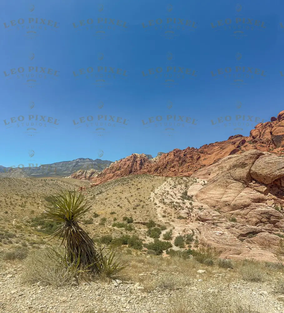 Red Rock Canyon Stock Photos