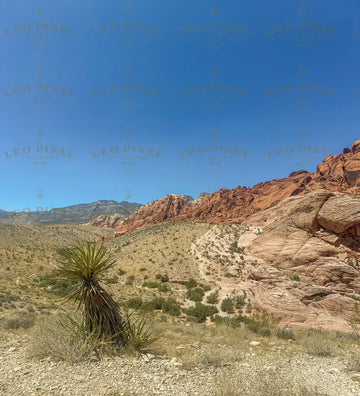 Red Rock Canyon Stock Photos