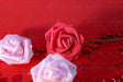 Three roses, two in soft pink and one in deep red, rest against a red background. Small red heart-shaped gems are scattered around, reflecting light. The petals have a velvety texture, and the green stem of the red rose adds contrast. The smooth backdrop enhances the warm tones, while the gems create a delicate sparkle in the composition. Photography.