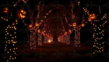 Trees Decorated With Halloween Decorations Bundle Ai Generated Image