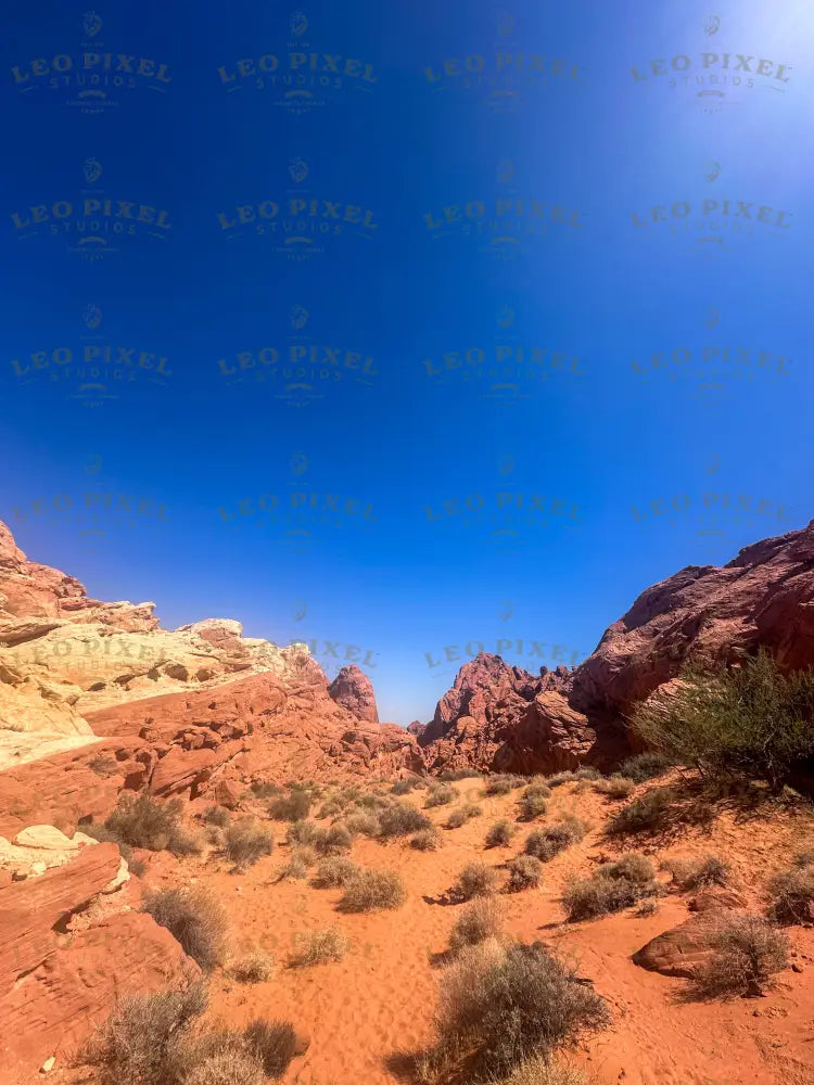 Valley Of Fire Stock Photos