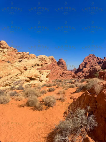 Valley Of Fire Stock Photos